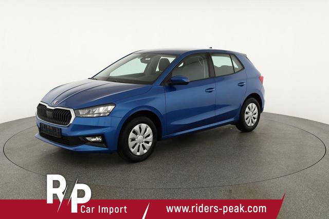 Skoda Fabia Selection 1.0 TSI Selection, Tempomat, Ladeboden, Park, Winterpaket, SmartLink, 4-J Garantie 