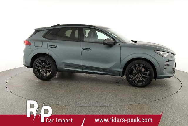 Cupra Terramar 2.0 TSI 195 kW 4Drive America's Cup Limited Edition DSG Americas CUP, HD-Matrix, Leder, Sennheiser, 5-J Garantie 