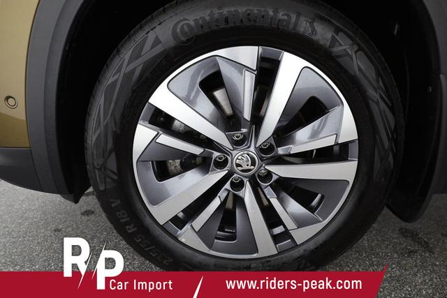 Skoda Kodiaq 2.0 TDI 142 kW 4x4 Selection DSG Selection, 7-Sitzer, AHK, Area, Matrix 