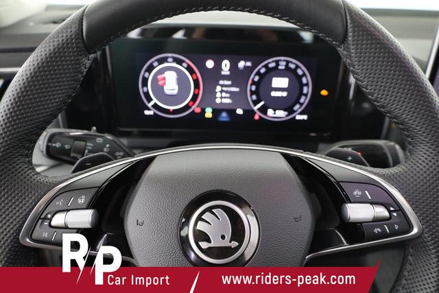 Skoda Kodiaq 2.0 TDI 142 kW 4x4 Selection DSG Selection, 7-Sitzer, AHK, Area, Matrix 