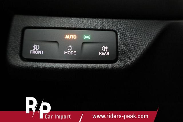 Cupra Terramar 2.0 TSI 150 kW 4Drive DSG 4Drive, Standheizung, AHK, AreaView, sofort 