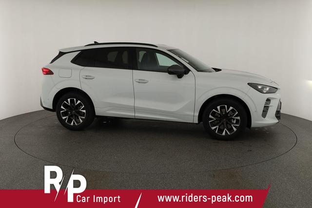 Cupra Terramar 2.0 TSI 150 kW 4Drive DSG 4Drive, Standheizung, AHK, AreaView, sofort 