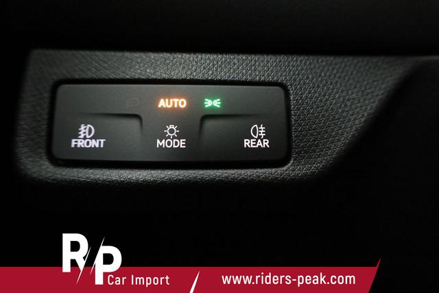 Cupra Terramar 2.0 TSI 150 kW 4Drive DSG 4Drive, Standheizung, AHK, AreaView, sofort 