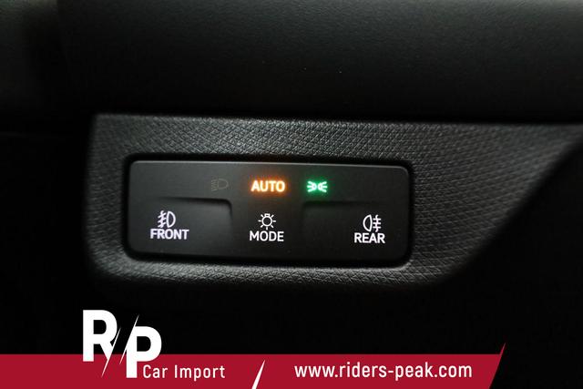 Cupra Terramar 2.0 TSI 150 kW 4Drive DSG 4Drive, Standheizung, AHK, AreaView, sofort 