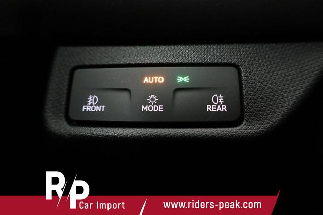 Cupra Terramar 2.0 TSI 150 kW 4Drive DSG 4Drive, Standheizung, AHK, AreaView, sofort 