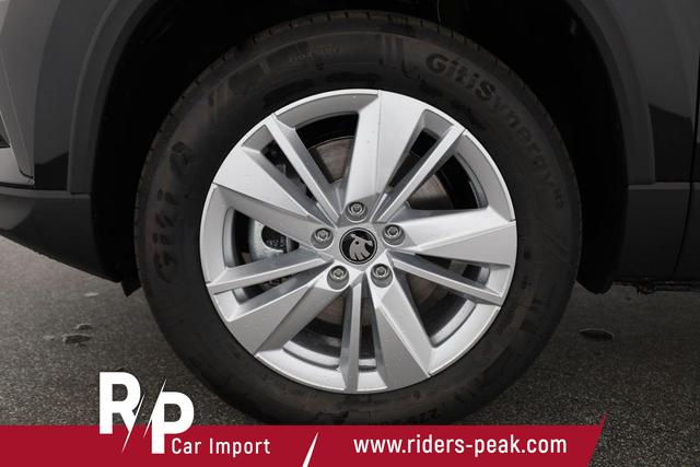 Skoda Karoq Drive 4x4 TDI DSG Selection, AHK, Navi, Kamera, 5-J Garantie 