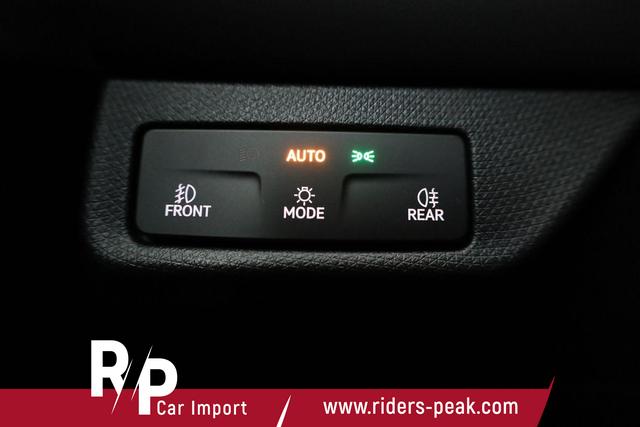 Cupra Terramar 2.0 TSI 150 kW 4Drive DSG 4Drive, Standheizung, AHK, AreaView, sofort 