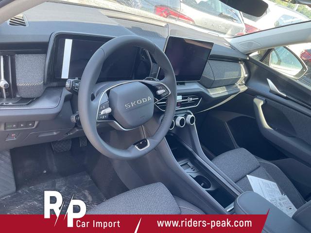 Skoda Kodiaq - 2.0 TDI 142kW 4x4 Selection DSG Selection, AHK, Navi, Side, el. Klappe