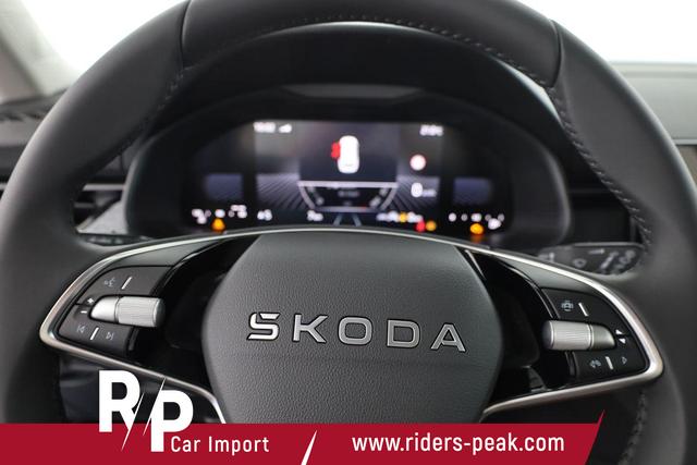 Skoda Kamiq Selection 1.5 TSI Selection, AHK, Kamera, Winter, 4-J Garantie 