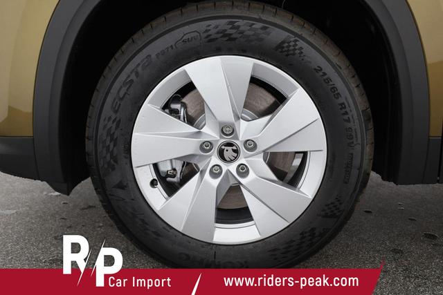 Skoda Kodiaq 2.0 TDI 142kW 4x4 Selection DSG Selection, AHK, Navi, Side, el. Klappe 