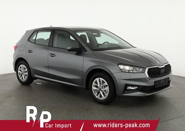 Skoda Fabia - Selection 1.0 MPI 130 Jahre, Kamera, Winter, 15-Zoll, Park