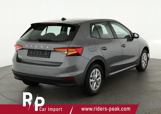 Skoda Fabia Selection 1.0 MPI 130 Jahre, Kamera, Winter, 15-Zoll, Park 