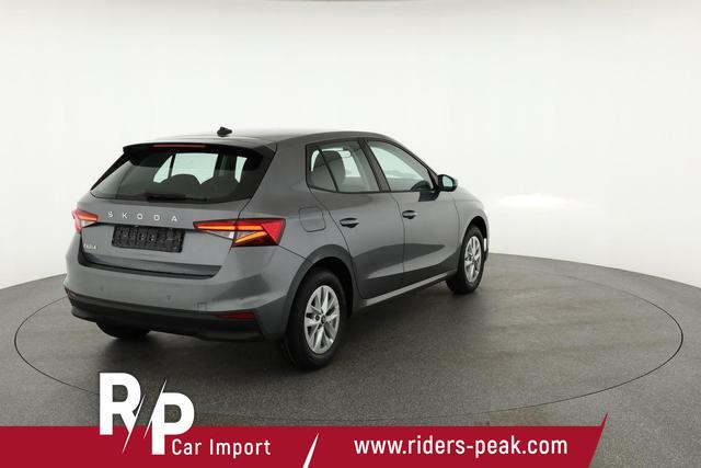 Skoda Fabia Selection 1.0 MPI 130 Jahre, Kamera, Winter, 15-Zoll, Park 