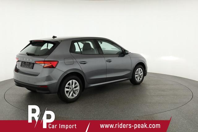 Skoda Fabia Selection 1.0 MPI 130 Jahre, Kamera, Winter, 15-Zoll, Park 