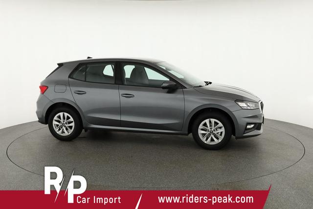Skoda Fabia Selection 1.0 MPI 130 Jahre, Kamera, Winter, 15-Zoll, Park 