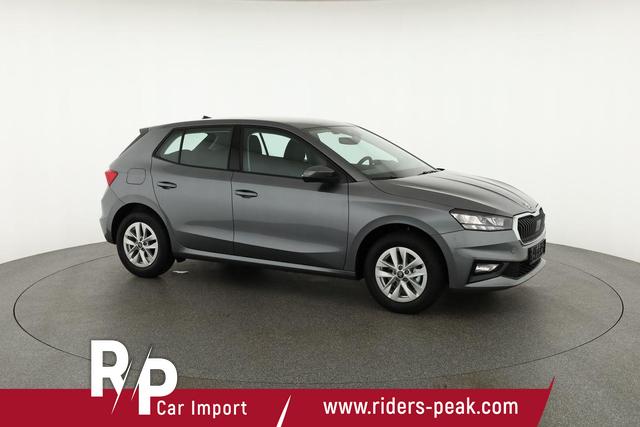 Skoda Fabia Selection 1.0 MPI 130 Jahre, Kamera, Winter, 15-Zoll, Park 