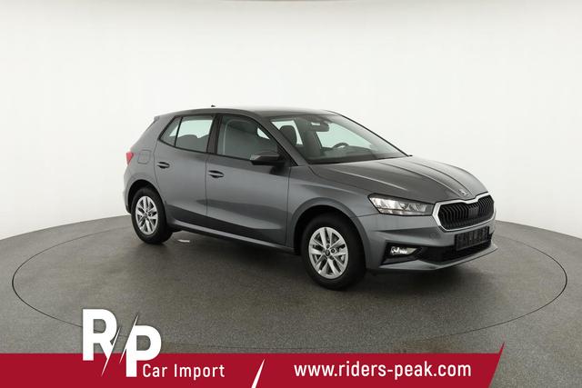 Skoda Fabia Selection 1.0 MPI 130 Jahre, Kamera, Winter, 15-Zoll, Park 
