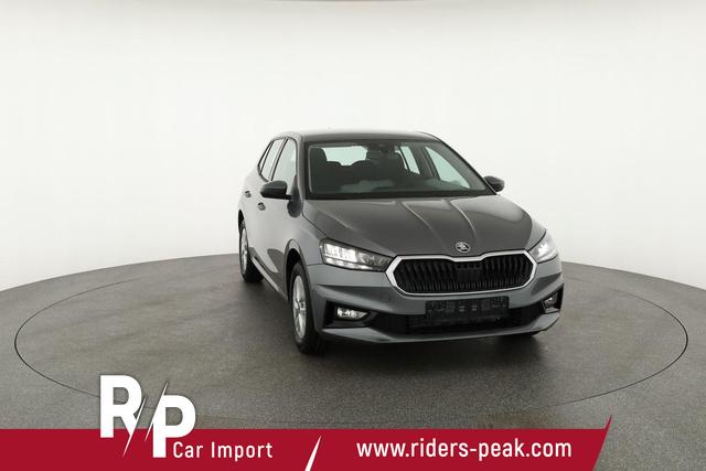 Skoda Fabia Selection 1.0 MPI 130 Jahre, Kamera, Winter, 15-Zoll, Park 
