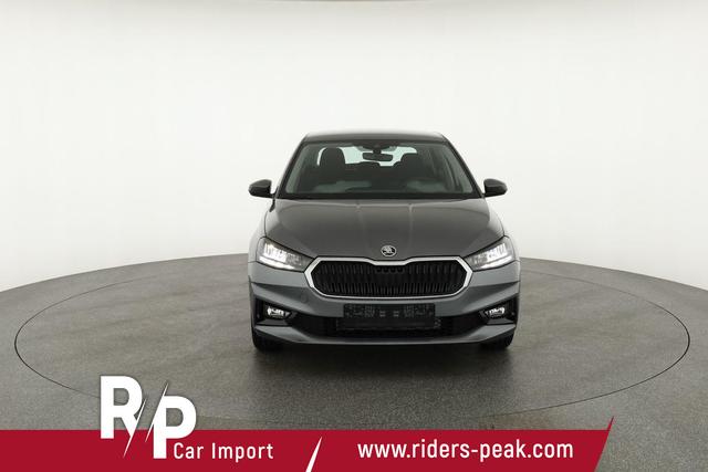 Skoda Fabia Selection 1.0 MPI 130 Jahre, Kamera, Winter, 15-Zoll, Park 