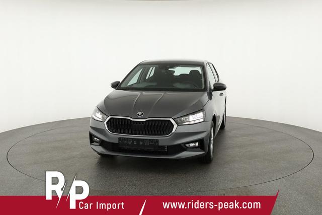 Skoda Fabia Selection 1.0 MPI 130 Jahre, Kamera, Winter, 15-Zoll, Park 