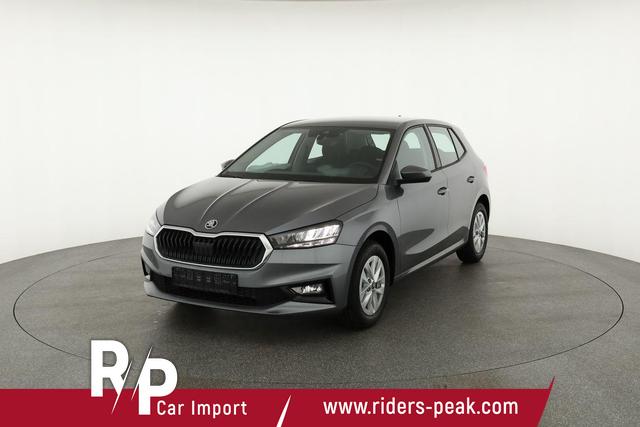 Skoda Fabia Selection 1.0 MPI 130 Jahre, Kamera, Winter, 15-Zoll, Park 