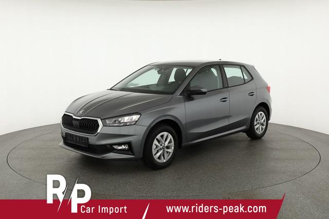 Skoda Fabia Selection 1.0 MPI 130 Jahre, Kamera, Winter, 15-Zoll, Park 