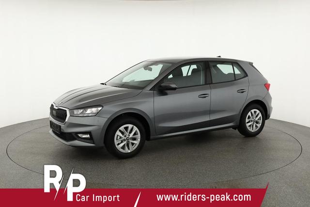 Skoda Fabia Selection 1.0 MPI 130 Jahre, Kamera, Winter, 15-Zoll, Park 