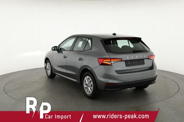 Skoda Fabia Selection 1.0 MPI 130 Jahre, Kamera, Winter, 15-Zoll, Park 