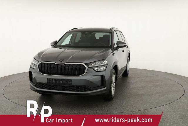 Skoda Kodiaq 2.0 TDI 142kW 4x4 Selection DSG Selection, AHK, Navi, Side, el. Klappe 