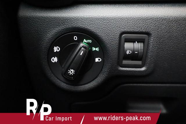 Skoda Fabia Monte Carlo 1.0 TSI Carlo, Kamera, SmartLink, Winter, Ladeboden, 5-J. Garantie 