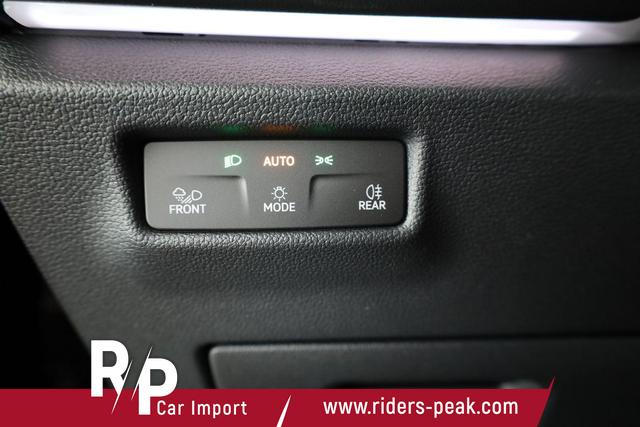 Volkswagen Tiguan 2.0 TSI 195 kW 4Motion R-Line DSG 4M R-LINE, AHK, AreaView, 20-Zoll, Navi 