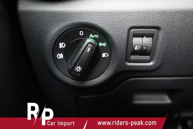 Skoda Fabia Monte Carlo 1.0 TSI DSG Carlo, Kamera, Winter, 4-J Garantie 