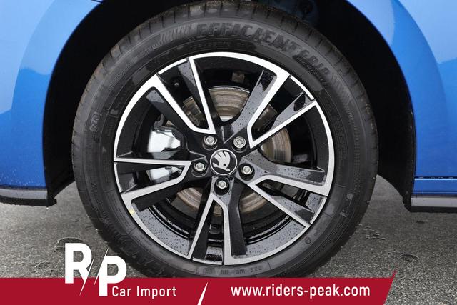 Skoda Fabia Monte Carlo 1.0 TSI DSG Carlo, Kamera, Winter, 4-J Garantie 