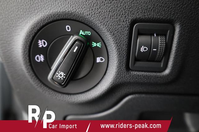 Skoda Fabia Monte Carlo 1.0 TSI DSG Carlo, Kamera, Winter, 4-J Garantie 