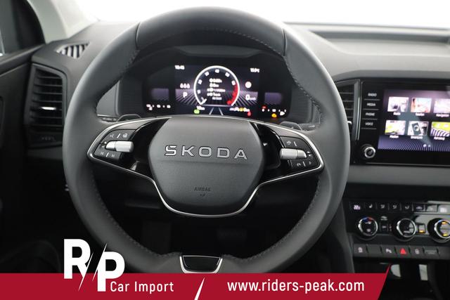 Skoda Karoq Selection 1.5 TSI DSG Selection, AHK, Kamera, Winter, 5-J Garantie 