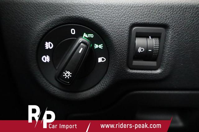 Skoda Fabia Selection 1.0 TSI Selection, Park, Winterpaket, SmartLink, 4-J Garantie 