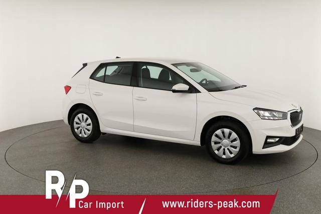 Skoda Fabia Selection 1.0 TSI Selection, Park, Winterpaket, SmartLink, 4-J Garantie 