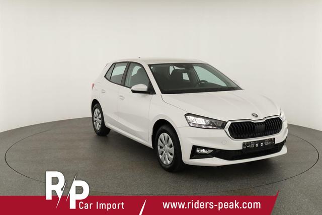 Skoda Fabia Selection 1.0 TSI Selection, Park, Winterpaket, SmartLink, 4-J Garantie 