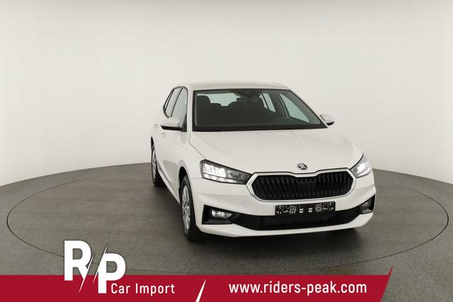 Skoda Fabia Selection 1.0 TSI Selection, Park, Winterpaket, SmartLink, 4-J Garantie 