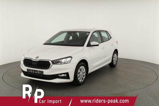 Skoda Fabia Selection 1.0 TSI Selection, Park, Winterpaket, SmartLink, 4-J Garantie 
