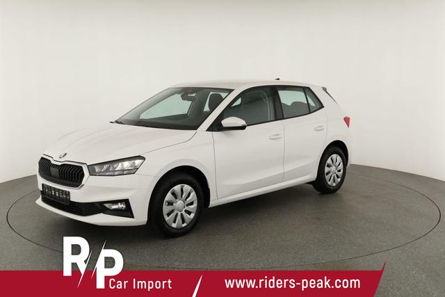 Skoda Fabia Selection 1.0 TSI Selection, Park, Winterpaket, SmartLink, 4-J Garantie 