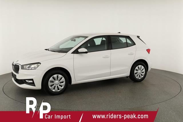 Skoda Fabia Selection 1.0 TSI Selection, Park, Winterpaket, SmartLink, 4-J Garantie 