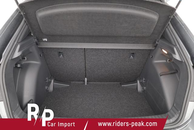 Skoda Fabia Monte Carlo 1.0 TSI DSG Carlo, ACC, Kamera, Winter, 16-Zoll, LED 