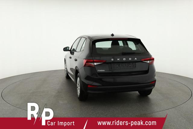 Skoda Fabia Selection 1.0 TSI Selection, Park, Winterpaket, SmartLink, 4-J Garantie 