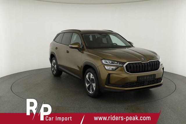 Skoda Kodiaq 2.0 TDI 142kW 4x4 Selection DSG Selection, AHK, Navi, Side, el. Klappe, AreaView, ParkAssist 