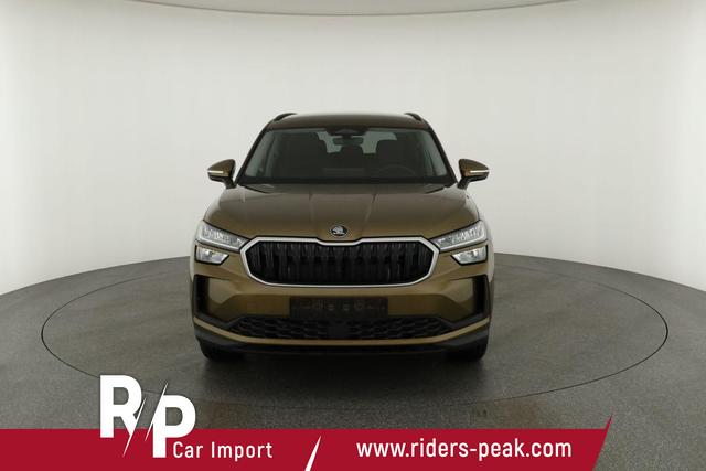 Skoda Kodiaq 2.0 TDI 142kW 4x4 Selection DSG Selection, AHK, Navi, Side, el. Klappe, AreaView, ParkAssist 