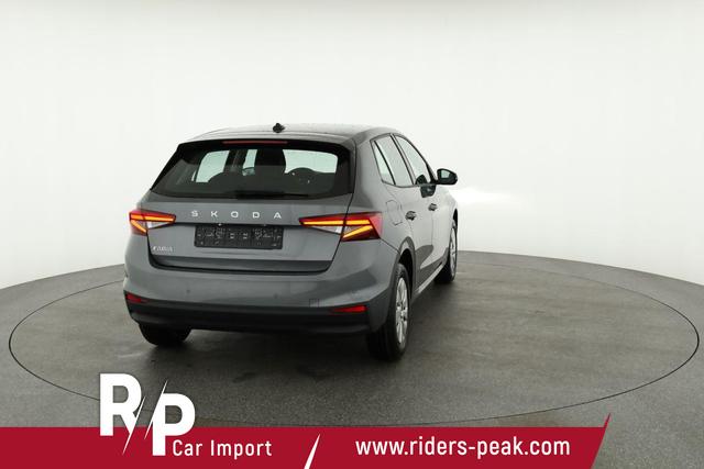 Skoda Fabia Selection 1.0 TSI Selection, Park, Winterpaket, SmartLink, 4-J Garantie 
