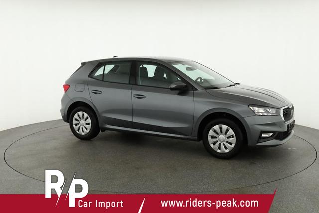 Skoda Fabia Selection 1.0 TSI Selection, Park, Winterpaket, SmartLink, 4-J Garantie 