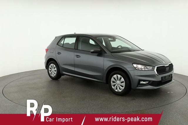 Skoda Fabia Selection 1.0 TSI Selection, Park, Winterpaket, SmartLink, 4-J Garantie 