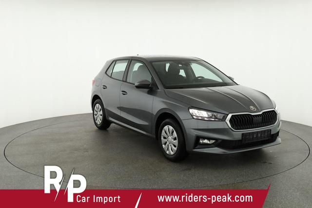 Skoda Fabia Selection 1.0 TSI Selection, Park, Winterpaket, SmartLink, 4-J Garantie 